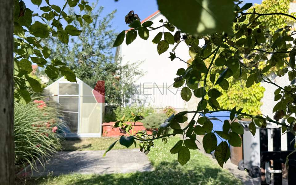 Gartenimpressionen 